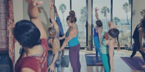 Yoga Mittra Teacher Training Education
